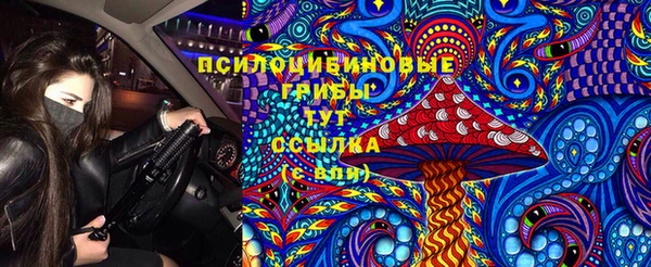 дурь Алзамай