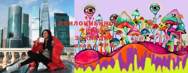 дурь Алзамай