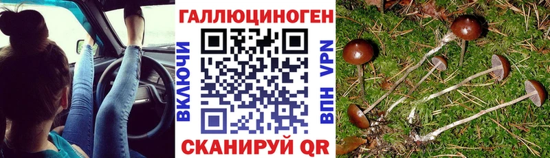 кракен ONION  закладки  Починок  Псилоцибиновые грибы прущие грибы 